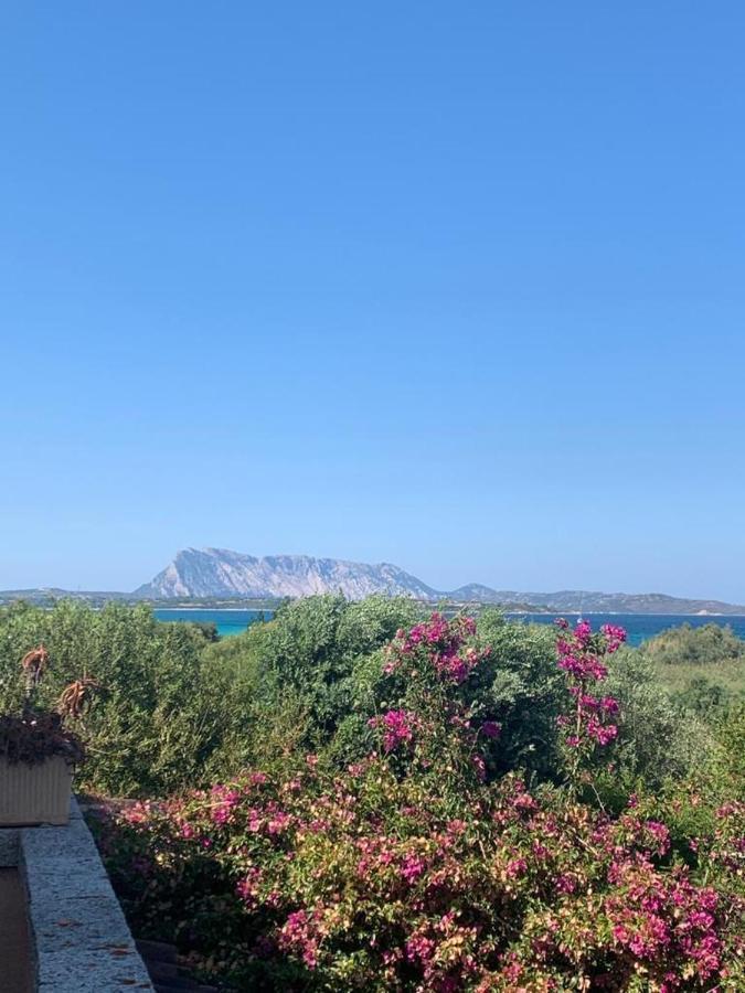 La Cinta Vila San Teodoro  Exterior foto